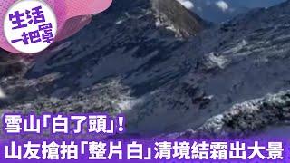 《生活一把罩》雪山「白了頭」！ 山友搶拍「整片白」清境結霜出大景