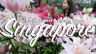 Singapore's Beautiful Indoor Nature | Cloud Forest & Flower Dome