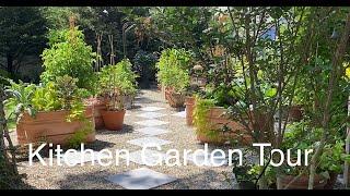 Potager Kitchen Garden Tour June 2022/One Month Growth fruits, Vegetables and Ornamentals