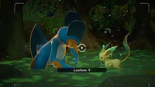 swampert cheers up leafeon