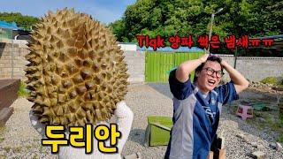 악취 끝판왕!! 두리안으로 한끼 만들어 먹기!!!  (한끼 내놔)