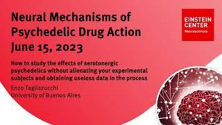 How to Study the Effects of Serotonergic Psychedelics | Dr. Enzo Tagliazucchi