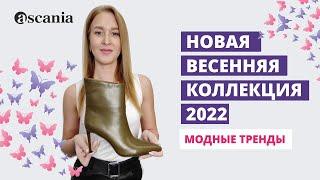 Новая коллекция обуви Ascania. Сезон Весна-Лето 2022