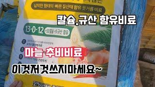 마늘.양파 nk 추비비료 납작이.칼슘.규산들어있는 추비용비료.한번 사용해보세요~일이편해집니다!