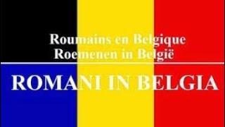 Reacția mea la clipurile cu George Simion și românii în Belgia