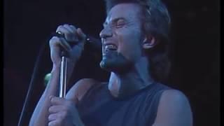 Australian Crawl - Unpublished Critics (live)