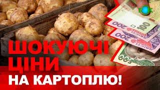 ЩОЙНО стало відомо! Ціни на картоплю ШОКУЮТЬ українців