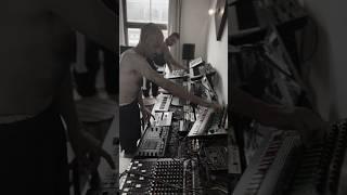 Daily Reel | Polizei | #out #now #spotify #newmusic #release #analog #lab #rave #techno #music #jam