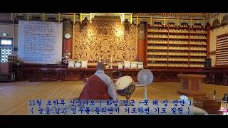 11월 초하루 ( 화엄 성중 30분 정근 ) ㅡ ( 북 태징 장단 ) ㅡ 정근이 좀 빠른 편이어서 눈을 감고 염주를 돌리면서 신중기도 하면 집중이 잘됨 ㅡ 관세음 보살