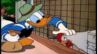 ᴴᴰ Donald Duck & Nephews Cartoon Classics- Best New Collection #10