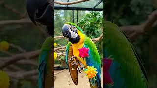 The Colorful Macaw     #animalfacts  #animalkingdom #colorfulbirds  #macaw #cuteanimals #facts