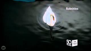 BBC TWO Ident 2014 - Swan (50th birthday version)