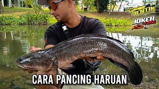 CARA MANCING HARUAN