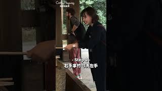  日本必知淨手小教學｜隨便啦凱西 Cathy Anyway