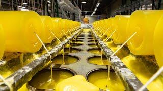 Mass Production Process of Candle. A day in a Candle Factory.