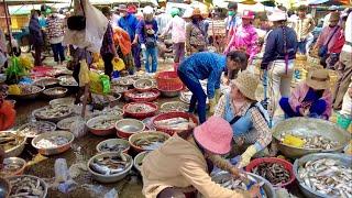 Fish Market Scene At Kilo Number 9 In Phnom Penh Cambodia & More