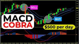  MACD COBRA - Now You Can Make $500 Per Day (Easy SCALPING and SWING Trading Strategy)