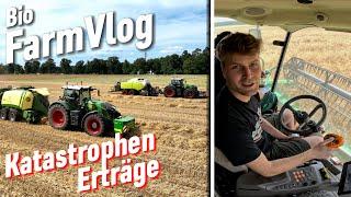 Roggen ist ab & Dinkel ist eine Katastrophe..Krone Presse besser als Claas? / Vlog 111