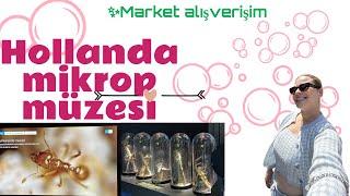 Hollanda Mikrop Müzesi || Market Alışverişim