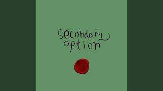 secondary option