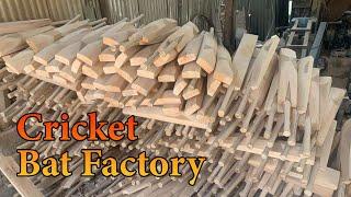 Amazing Process of Making Hi Quality Cricket Bat | Factory Mass Production Process | Nadeem Hussaen