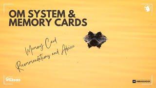 OM System & Memory Cards - Picking the Best One