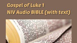 Luke 1: NIV Audio BIBLE (with text)