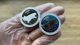 Prehistoric Life Series: DUNKLEOSTEUS 1 ounce Coloured silver Congo 2023 BU Coin