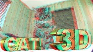 3D CAT!!!