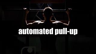 automated pull-ups (morphic field)