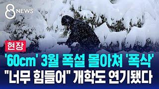 '60cm' 3월 폭설 몰아쳐 '폭삭'…"너무 힘들어" 개학도 연기됐다 / SBS 8뉴스