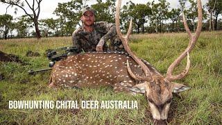 Bowhunting Chital Deer Australia 2023