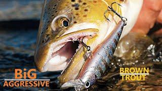 How to CATCH BIG Brown Trout on Jerkbaits