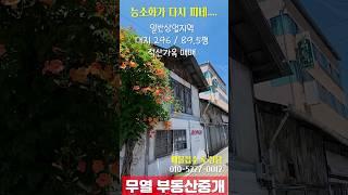 능소화 복원 완료 자인에서 가장 유명한 주택 / 적산가옥 매매