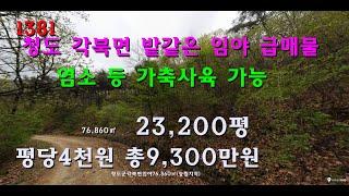 [번호 1381]경북 청도군 각북면 밭같은 임야 평당4천원