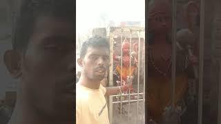 Sintu Singh official