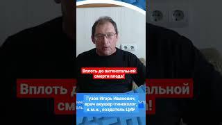 Чем опасно железо при гемохроматозе. Препараты железа при беременности. #shorts Гузов И.И.