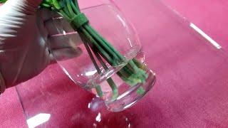 Clear Epoxy Resin For Floral Arranging MAX TCR A/B. Water Simulation For Glass Vase.