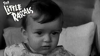 Bouncing Babies | Little Rascals Shorts | FULL EPISODE | 1929