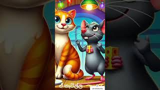 Dance |Cat and Rat Dance |Beautiful |#cat #cute #rat #catlover #dance #catdance