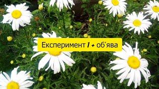 Осіннє пересаджування квіткових рослин