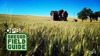 Capturing The Haunting Nostalgia Of  ‘Abandoned Oregon,” Before It’s Too Late | Oregon Field Guide