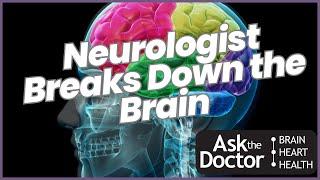 Neurologist | Breaks Down The Brain ￼
