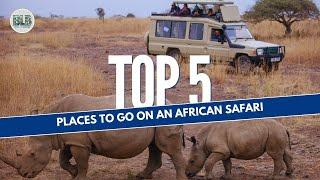 TOP 5: Places to Go on an AFRICAN SAFARI