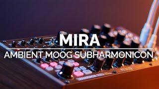 Mira | Generative Ambient Moog Subharmonicon