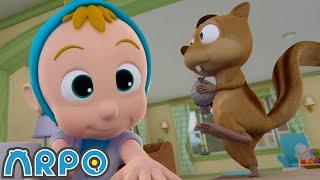 Squirrel Chase MADNESS!! | ARPO The Robot Classics | Funny Cartoons for Kids