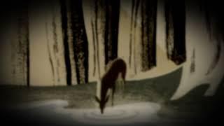 Morphing Reality - Lost