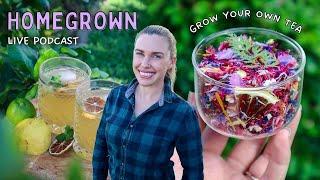 Growing herbs and creating your own sustainable tea garden at home