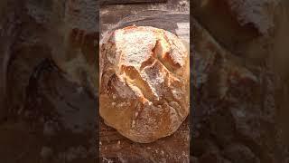 Secrets to baking the ultimate sourdough loaf ISourdough