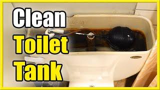 How to Clean Toilet Tank with Citric Acid (Almost no Scrubbing!)